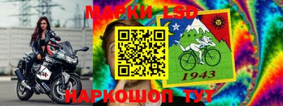 индика Дубна