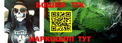 индика Дубна