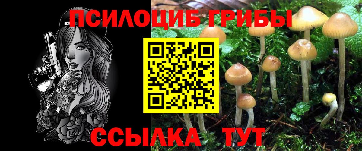 Псилоцибиновые грибы ЛСД  Вход с VPN  Лосино-Петровский 