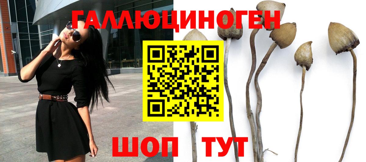 Галлюциногенные грибы MAGIC MUSHROOMS Лосино-Петровский